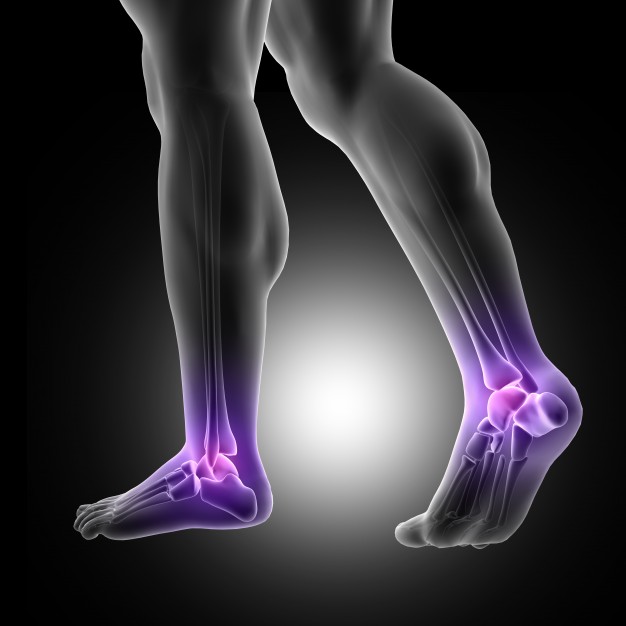 3d render male figure with close up feet with ankle joints highlighted 1048 6239